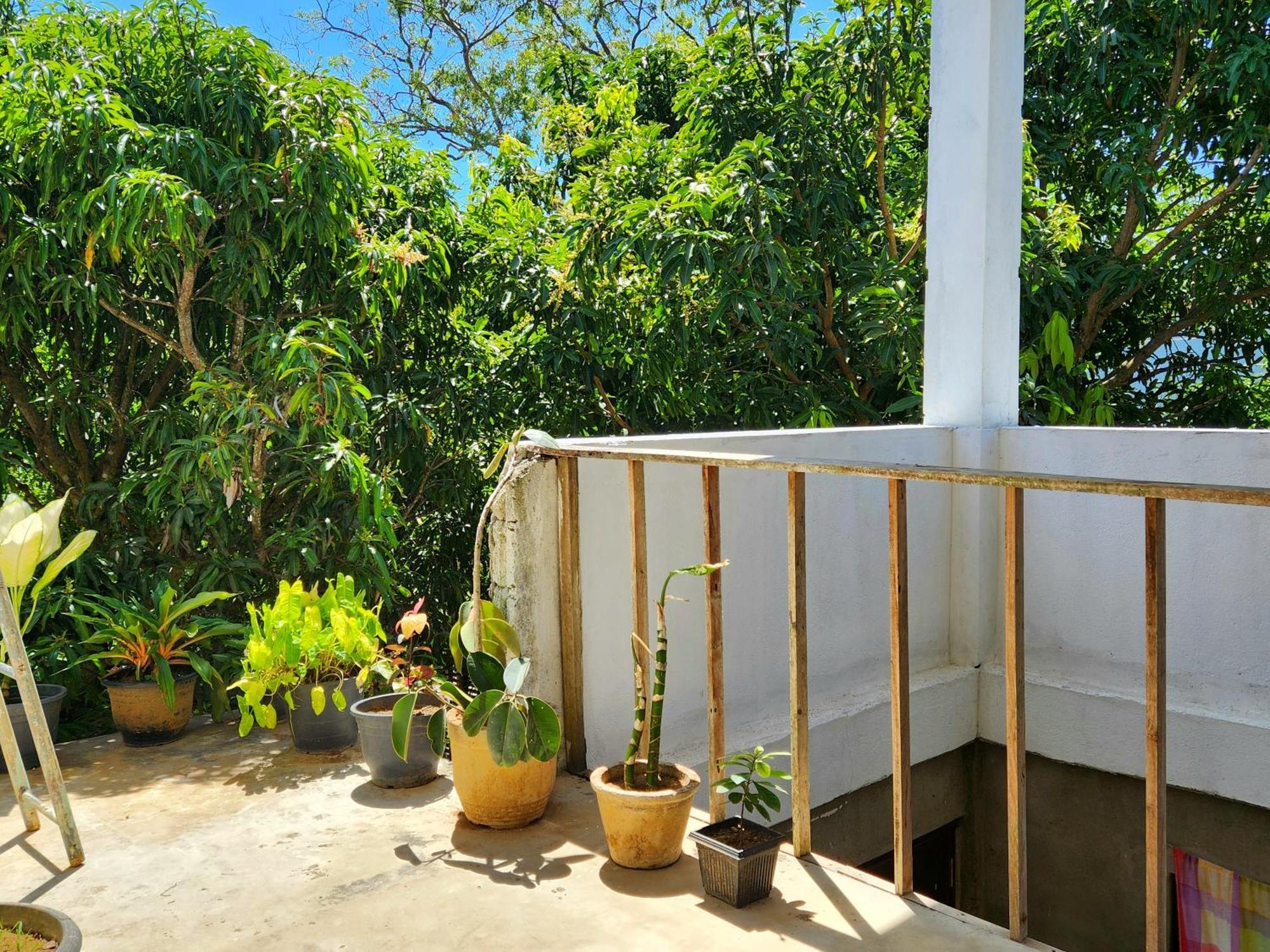 Sun Sea Guest Home Tangalle Kültér fotó